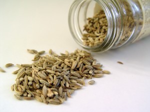 Fennel_seed