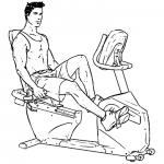 Recumbent Bike (has back rest)