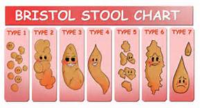 cartoon stool chart