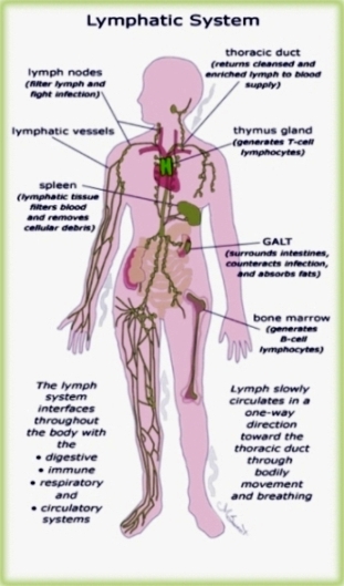lymph-detox-symptoms